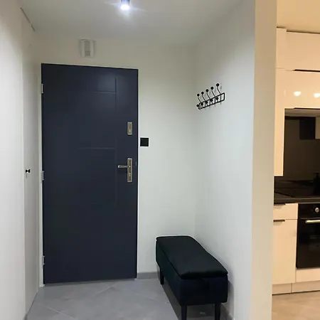 Do Wynajecia Apartment *